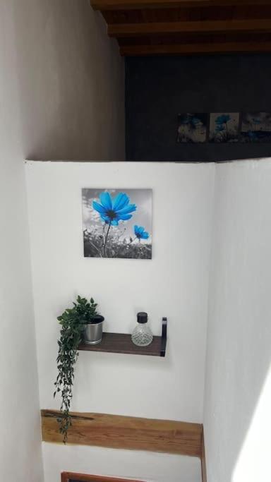 Ca La Trini Vivienda Vacacional Nava エクステリア 写真